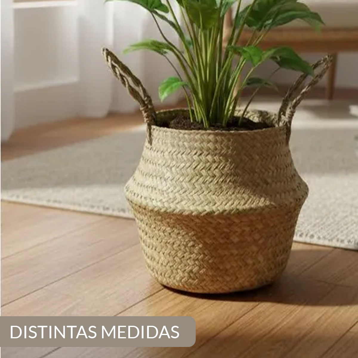 MACETA O CESTA DE SEAGRASS ORGANIZADORA PARA PLANTAS