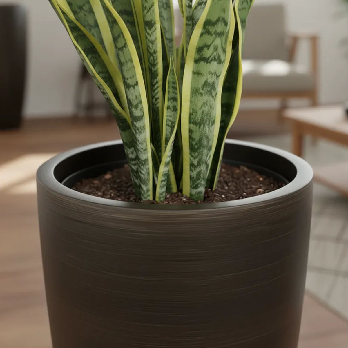 MACETA DE FIBRA CHOCOLATE CONICA 54CM ALTO X 30CM DIAMETRO - Imagen 3