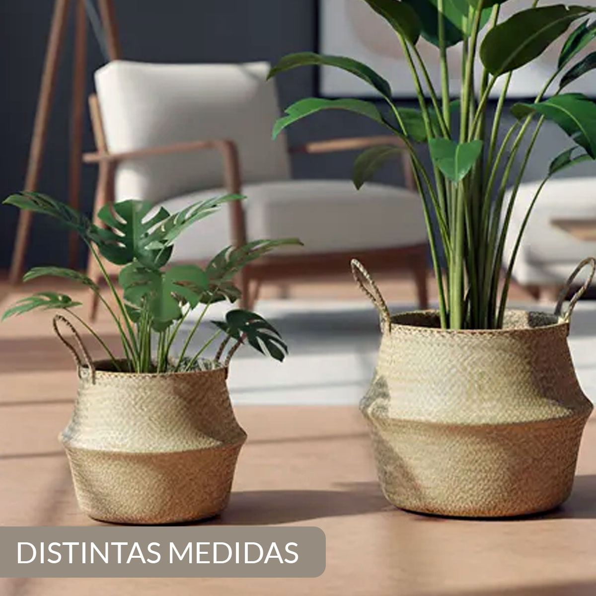 MACETA O CESTA DE SEAGRASS ORGANIZADORA PARA PLANTAS - Imagen 4