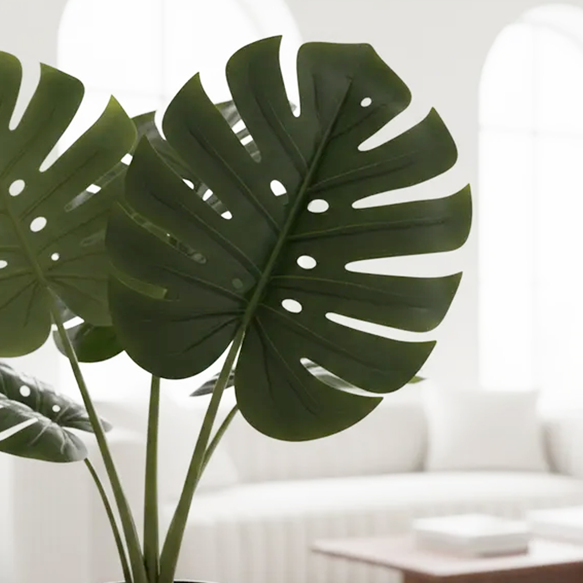 PLANTA MONSTERA MÁSCARA 150 CM - Imagen 2